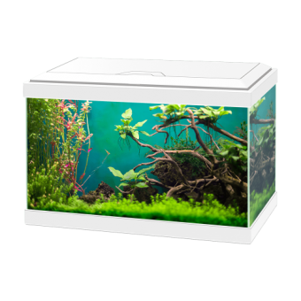 Аквариум Ciano Aqua 60