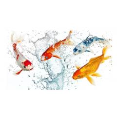 Промоция Езерни продукти