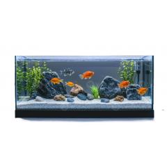 Промоция Aквариумни продукти