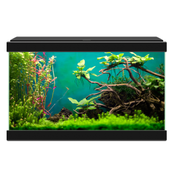 Аквариум Ciano Aqua 20 
