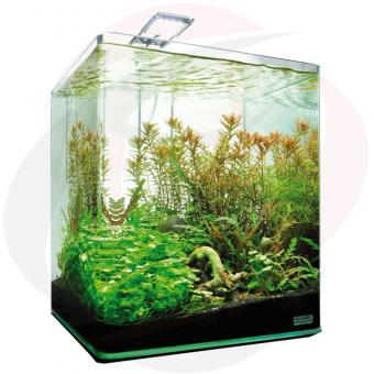 Dennerle Nano Cube Basic Led 20L    