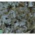 JBL ProNovo Spirulina - основна храна за растителноядни риби 100 мл.