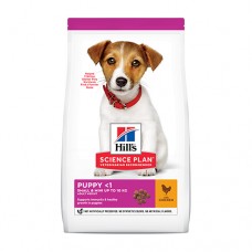 Hills Science Plan Small&Mini Puppy - пълноценна суха храна с пилешо месо, за дребни и миниатюрни породи кучета от отбиване до 1 година. За бременни и кърмещи кучета 6 кг.