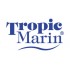 Tropic marin