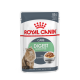 Royal Canin Digest- пълноценна храна за котки с чувствителна храносмилателна система (тънки късчета в сос) 85 гр.