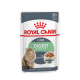 Royal Canin Digest- пълноценна храна за котки с чувствителна храносмилателна система (тънки късчета в сос)12x 85 гр.