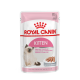 Royal Canin Kitten  - пълноценна храна специално за котенца и бременни котки (тънки късчета в сос) 12x85 гр.