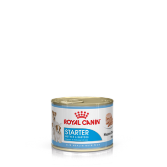 Royal Canin Starter Mousse -Starter -195 gr.