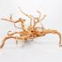 Паяков корен (spider root) Азалия 50-80 см.