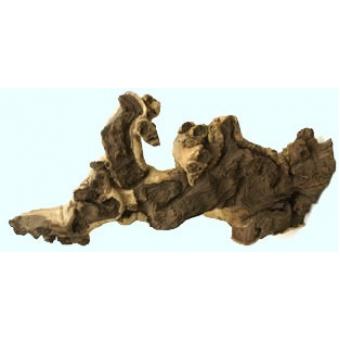 Корен Premium Root  African 30-100 см.