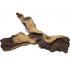 Корен Premium Root  African 30-100 см.